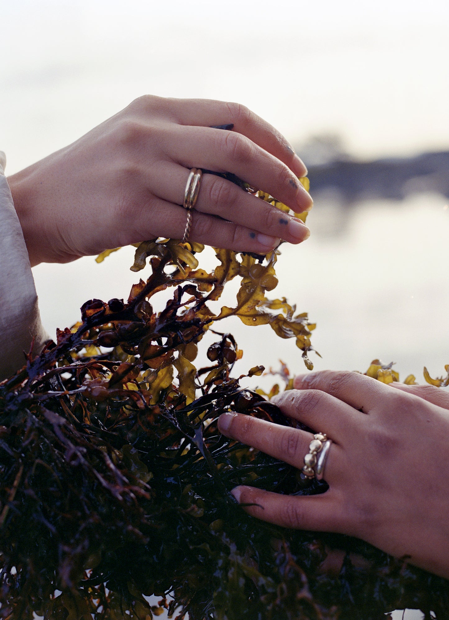 Twin Band Ring